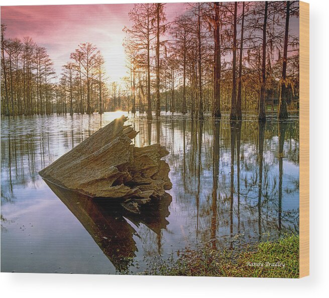Usa Wood Print featuring the photograph Swamp Monster by Randy Bradley