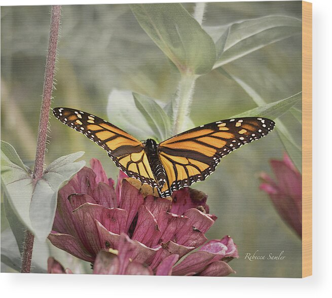 Monarch Wood Print featuring the photograph Taking Flight by Rebecca Samler