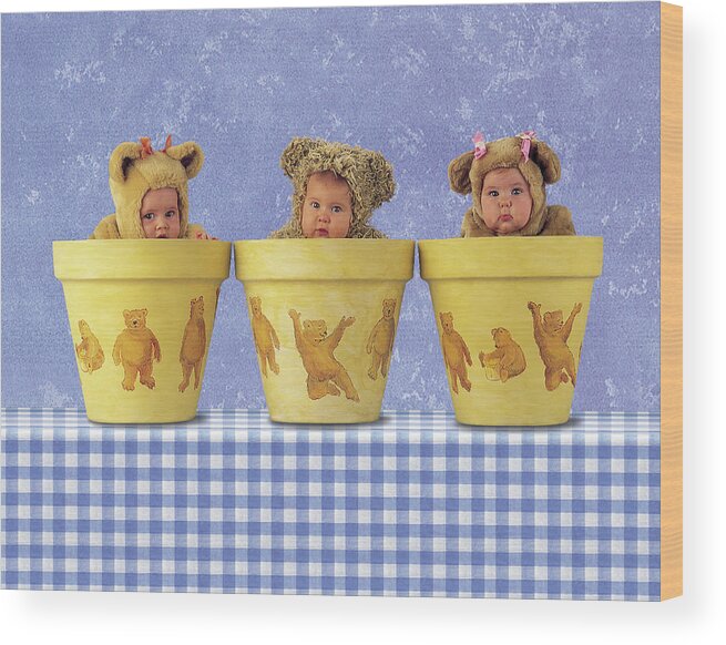 Flowerpots Wood Print featuring the photograph Teddy Bear Pots by Anne Geddes