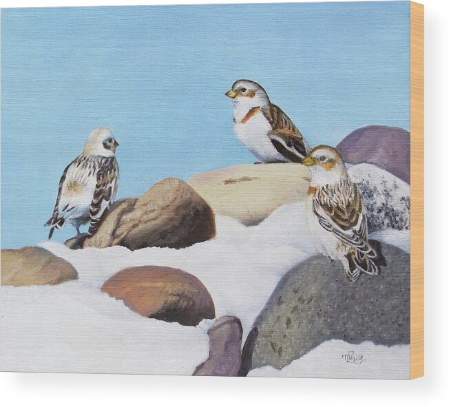 Snow Buntings Wood Print featuring the painting The Debate by Tammy Taylor