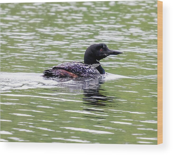 Loon Wood Print featuring the photograph The Loon in the Morning by Regina Muscarella