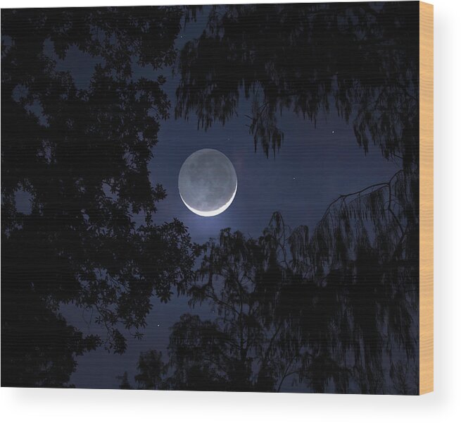 Crescent Moon Wood Print featuring the photograph The Magic of Twilight by Mark Andrew Thomas