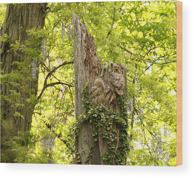 Bubo Wood Print featuring the photograph The prettiest owl nest by Heather King