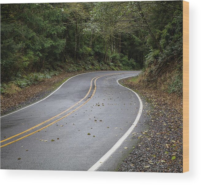 2018 Wood Print featuring the photograph The Road Ahead by Gerri Bigler
