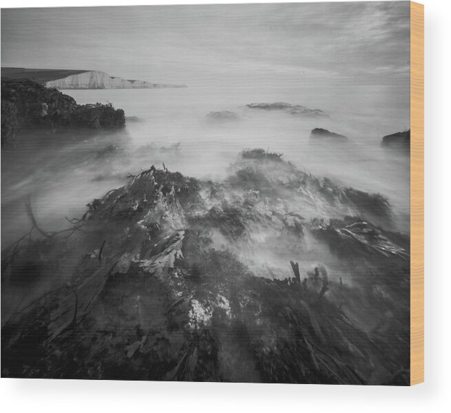  Wood Print featuring the photograph The Seven sisters, low tide by Will Gudgeon