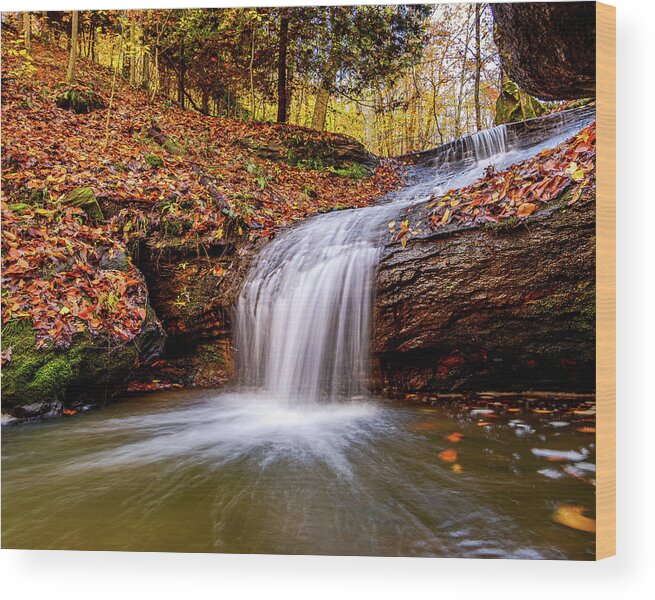Waterfall Wood Print featuring the photograph The Slide by SC Shank