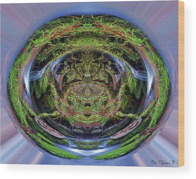 Nature Wood Print featuring the photograph The Spring of Eternal Life #2 by Ben Upham III
