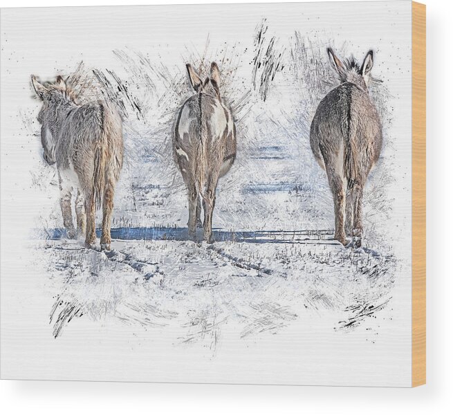 Donkey Wood Print featuring the photograph Three Amigos by Jennifer Grossnickle