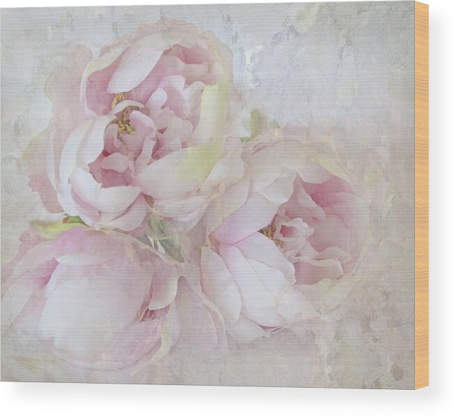 Flower Wood Print featuring the photograph Three Peonies by Karen Lynch