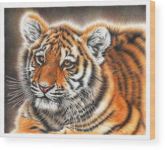 Tiger Wood Print featuring the drawing Tiger Cub by Casey 'Remrov' Vormer