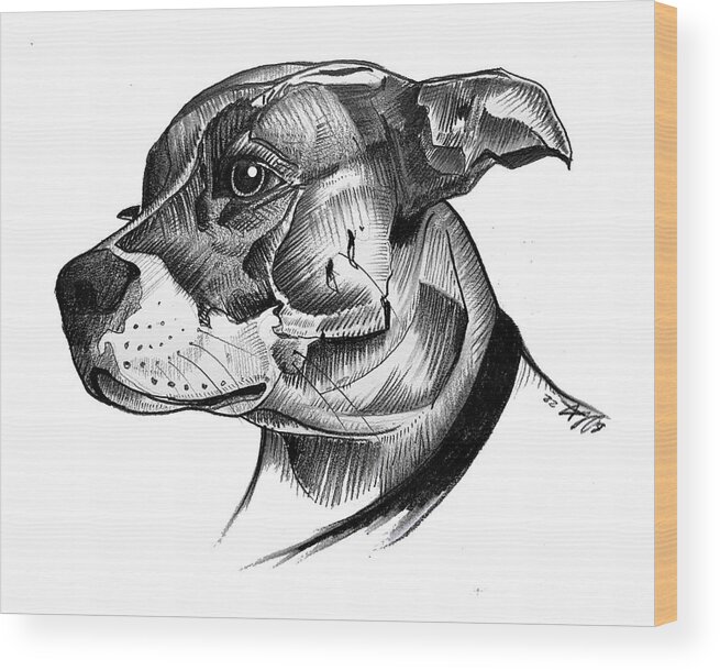 Graphite Wood Print featuring the drawing Tilly by Creative Spirit