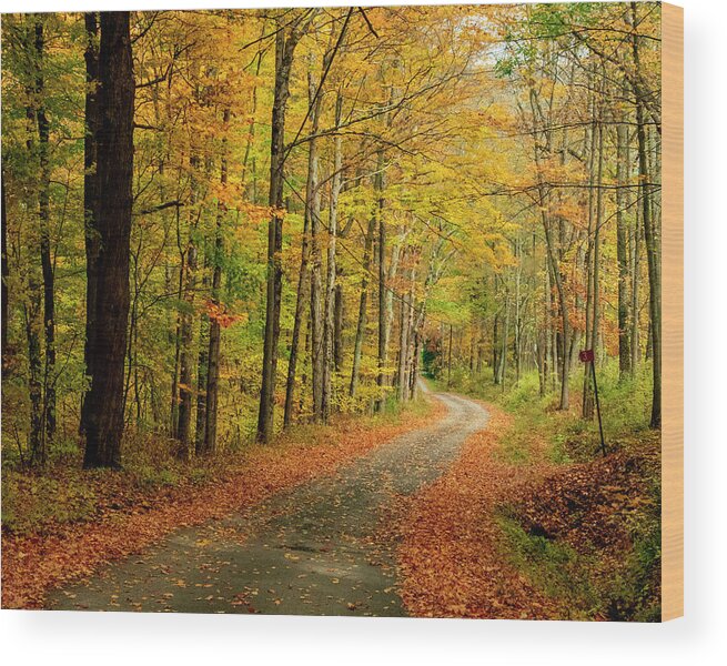 Autumn Wood Print featuring the photograph Travel Into Autumn by Cathy Kovarik