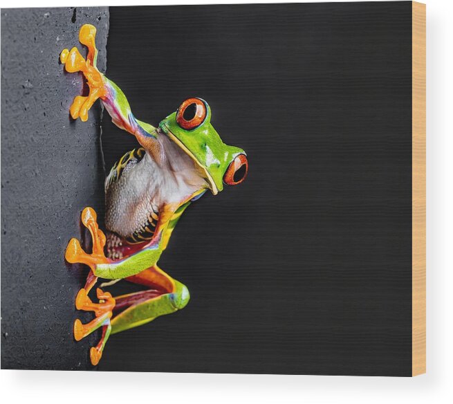Frog Wood Print featuring the digital art Tree Frog Pose by Susan Rydberg