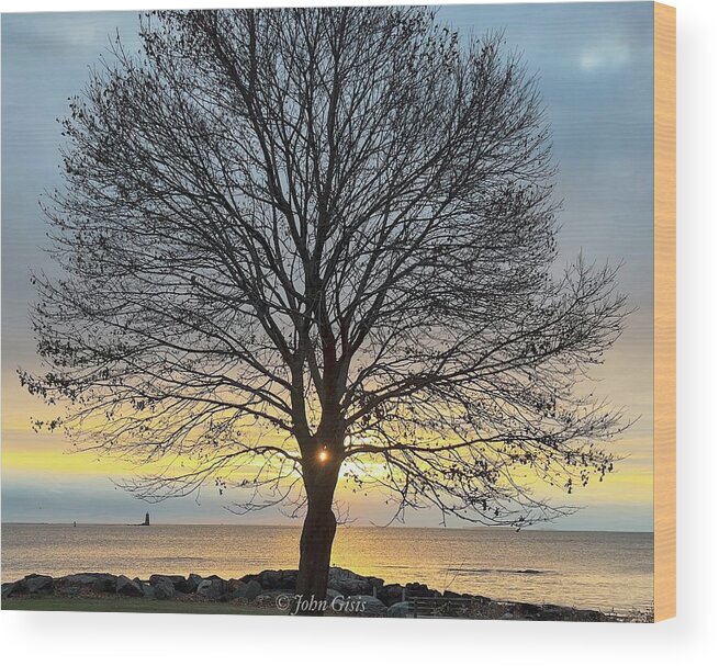  Wood Print featuring the photograph Tree of Life by John Gisis