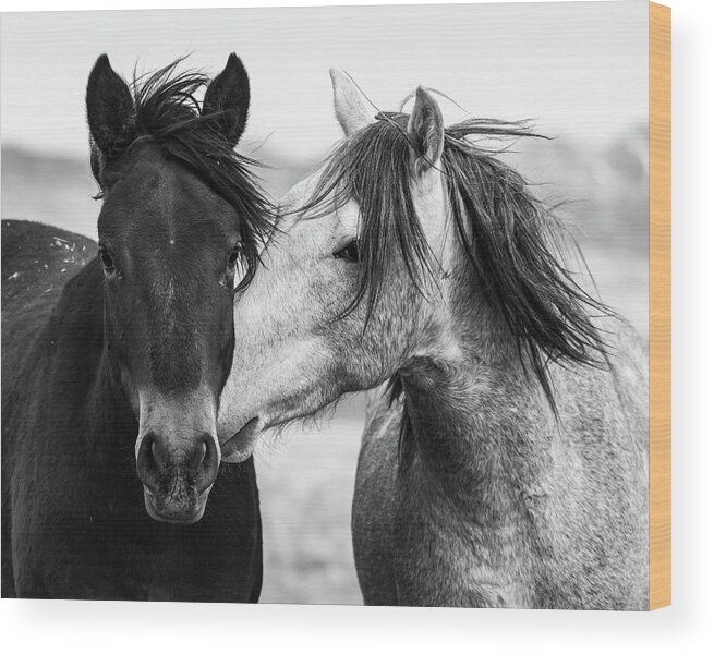 Wild Horses Wood Print featuring the photograph We Too by Mary Hone