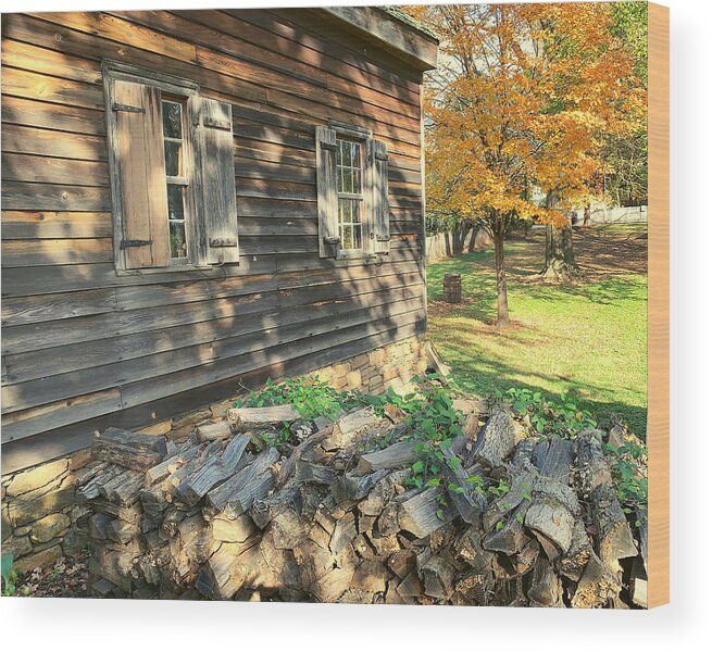 Old Wood Print featuring the photograph Weeds and Wood by Lee Darnell