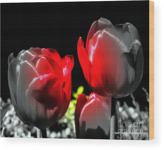 Tulips Wood Print featuring the photograph We'll Have Manhattan by Tami Quigley