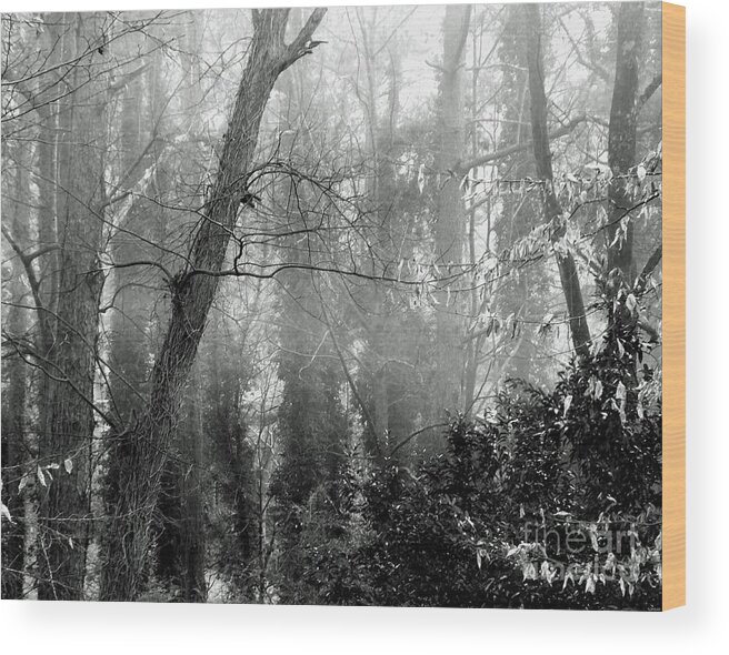Fog Wood Print featuring the photograph Whitby65 Floodplain Forest by Lizi Beard-Ward
