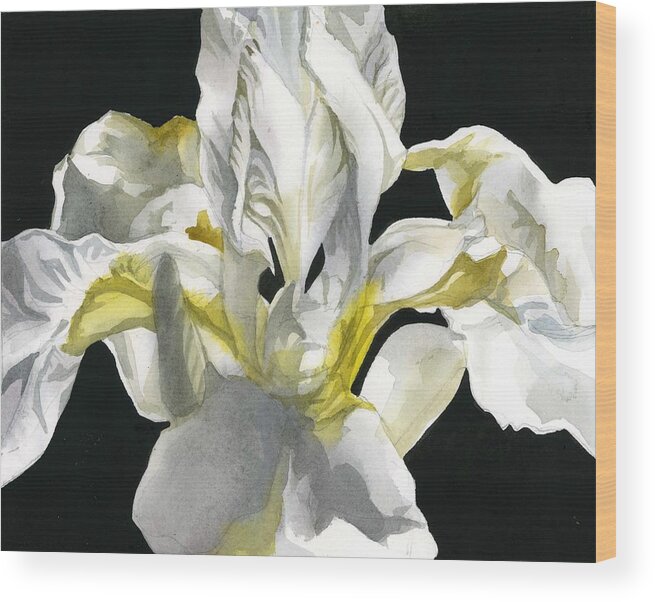 White Flower Wood Print featuring the painting White Iris Watercolor by Alfred Ng