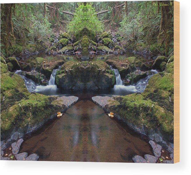 Nature Wood Print featuring the photograph Wilson Creek Paradise Mirror #1 by Ben Upham III