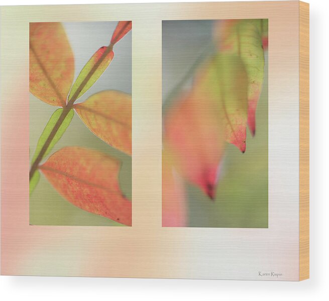 Sumac Wood Print featuring the photograph Winged Sumac by Phil And Karen Rispin