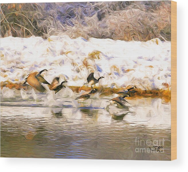 Geese Wood Print featuring the digital art Winter Geese by Stacey Carlson