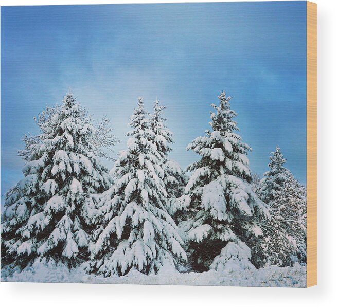 Winter Wood Print featuring the photograph Winter Wonderland by Sarah Lilja