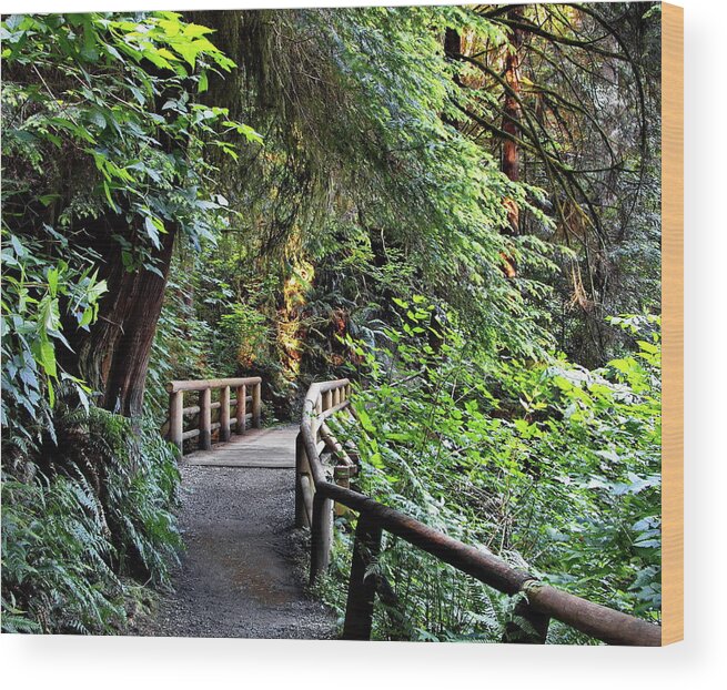 Alex Lyubar Wood Print featuring the photograph Wooden bridge on a firest hiking trail by Alex Lyubar