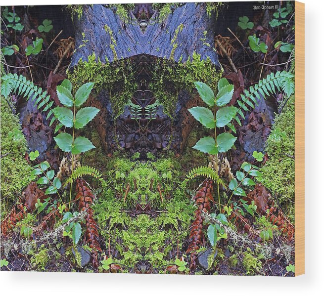 Nature Wood Print featuring the photograph Woodland Secret Place #1 by Ben Upham III