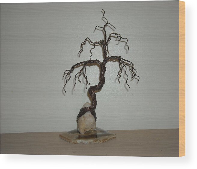 102 Traditional Bonsai Wire Tree Sculpture with jin #102 Metal Print by  Ricks Tree Art - Fine Art America
