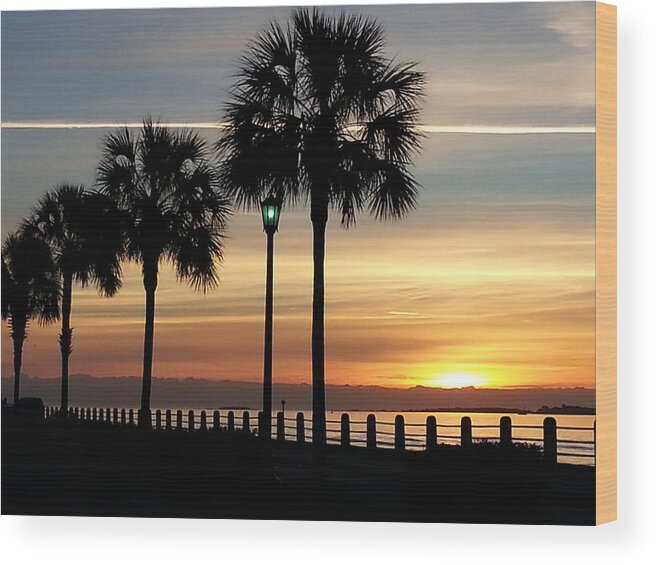 Water Wood Print featuring the photograph Sunrise Beyond Carolina Palms by Joetta Beauford