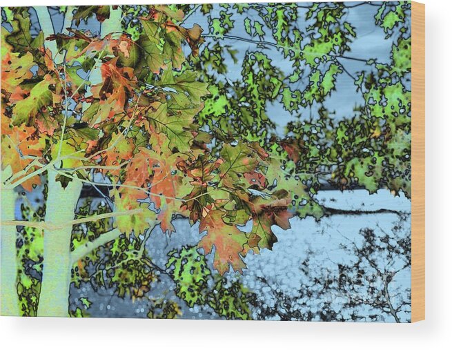 Marcia Lee Jones Wood Print featuring the photograph Autumn by Marcia Lee Jones