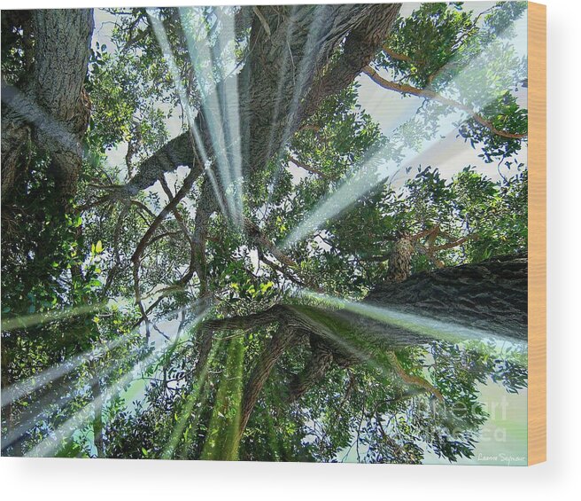 Trees Wood Print featuring the mixed media Divinity In Nature by Leanne Seymour