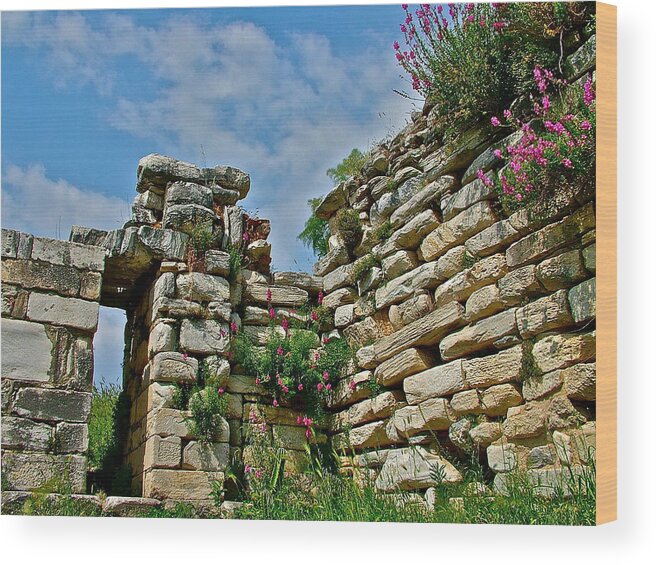 Entry To Saint John's Basilica Grounds In Selcuk Wood Print featuring the photograph Entry to Saint John's Basilica Grounds in Selcuk-Turkey by Ruth Hager