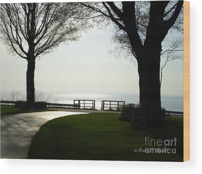 Landscapes Wood Print featuring the photograph M Landscapes Collection No. L133 #1 by Monica C Stovall