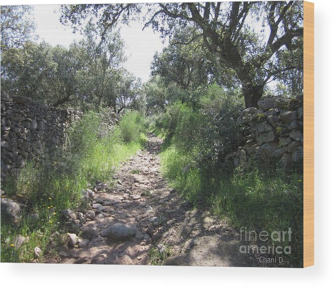 Path Wood Print featuring the photograph Path near Almoharin #1 by Chani Demuijlder