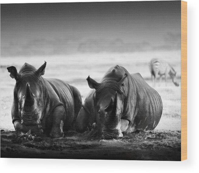 Africa Wood Print featuring the photograph Resting In The Rain #1 by Mike Gaudaur