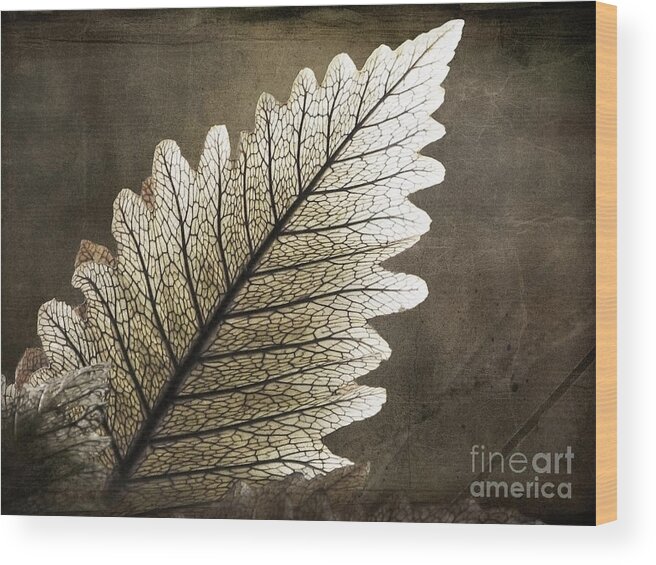 Leaf Wood Print featuring the photograph Shapes of Hawaii 2 by Ellen Cotton