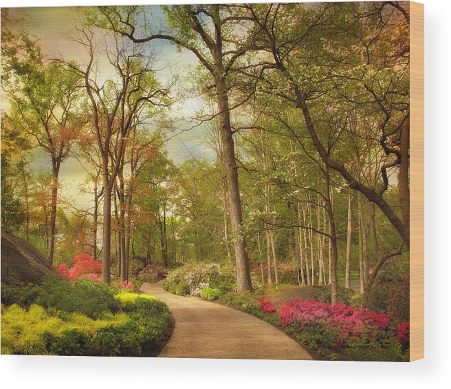 Garden Wood Print featuring the photograph The Azalea Garden #3 by Jessica Jenney