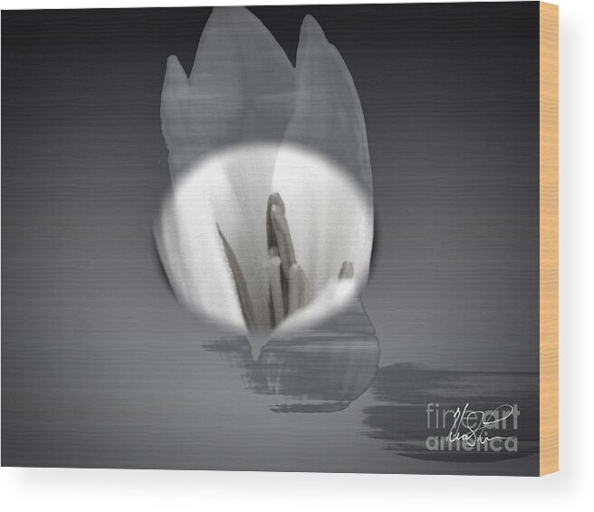 Flower Wood Print featuring the photograph Translucent Flower #1 by Keith Lyman