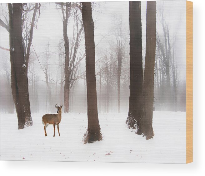 Winter Wood Print featuring the photograph As Winter Calls #2 by Jessica Jenney