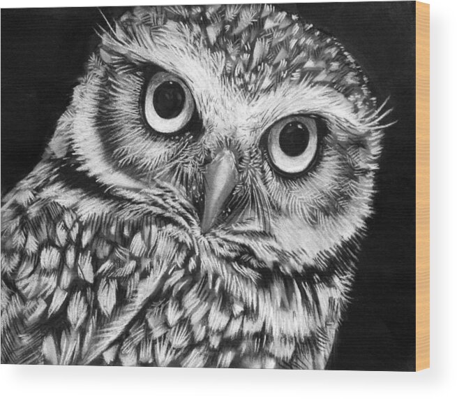 Owl Wood Print featuring the drawing Burrowing Owl by Sharlena Wood