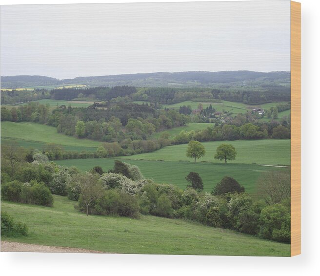 Landscape Wood Print featuring the photograph Green and Pleasant Land by Jayne Wilson