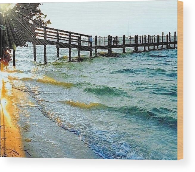 Sanibel Island Florida Photograph Wood Print featuring the photograph Sanibel at Sunset #2 by Janette Boyd