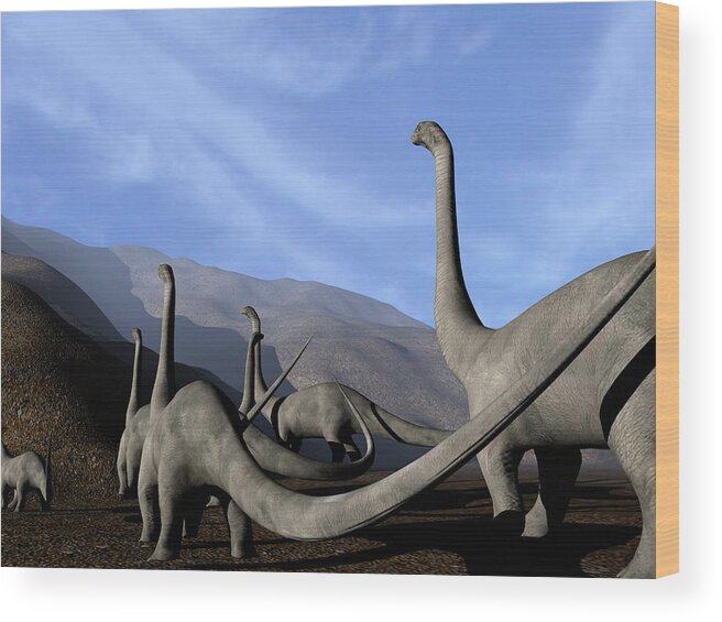 Sauropod Wood Print featuring the photograph Sauropod Dinosaurs #2 by Christian Darkin