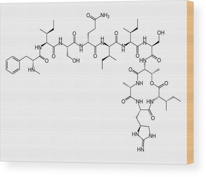 Antibiotic Wood Print featuring the photograph Teixobactin Antibiotic Structure Formulae #2 by Alfred Pasieka