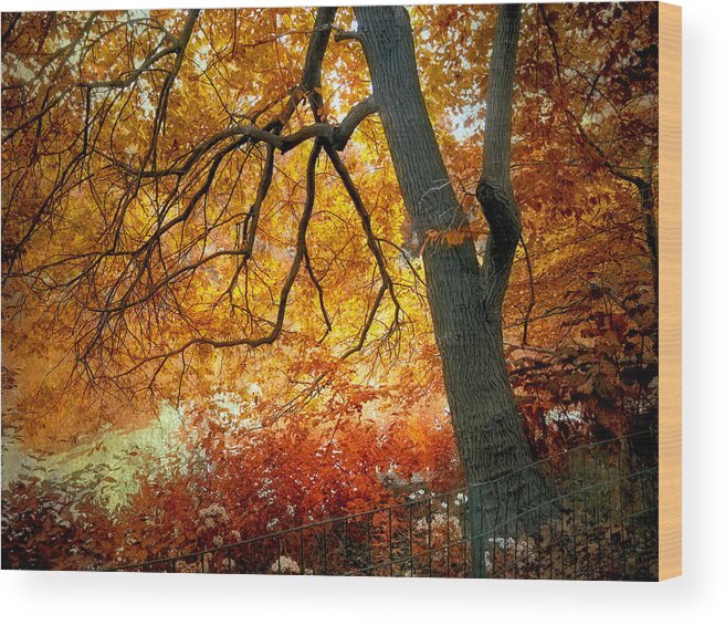 Tree Wood Print featuring the photograph Ablaze #3 by Jessica Jenney