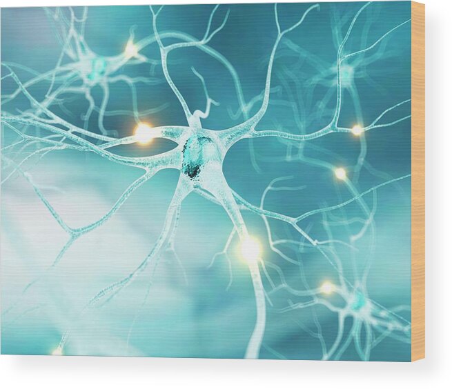 Artwork Wood Print featuring the photograph Active Nerve Cells #3 by Sciepro/science Photo Library