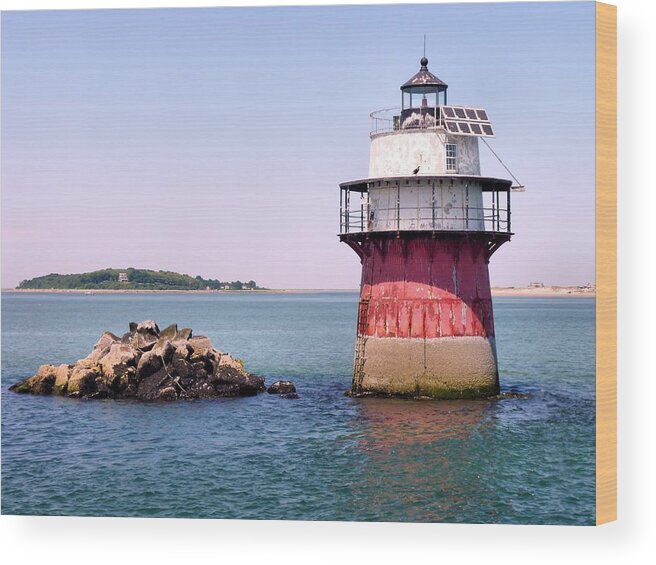 Lighthouses Wood Print featuring the photograph Bug Light by Janice Drew