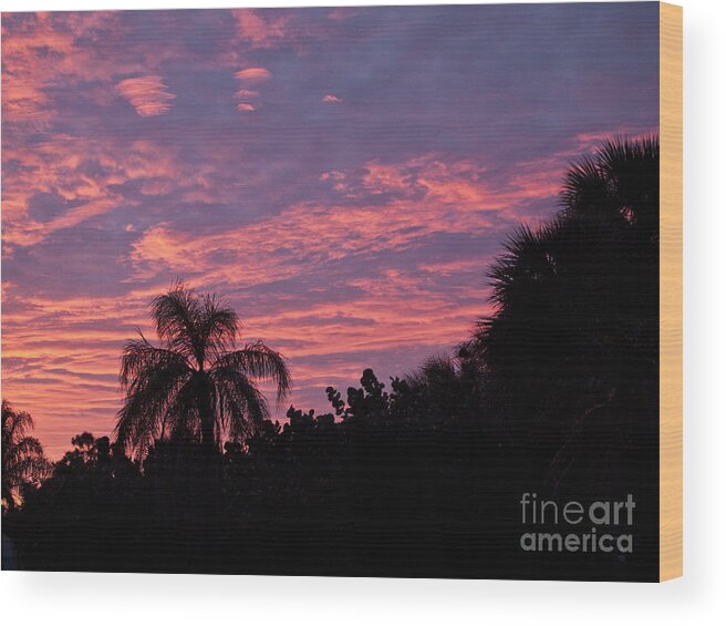 Tropic Wood Print featuring the photograph Florida Sunset #3 by Allan Hughes